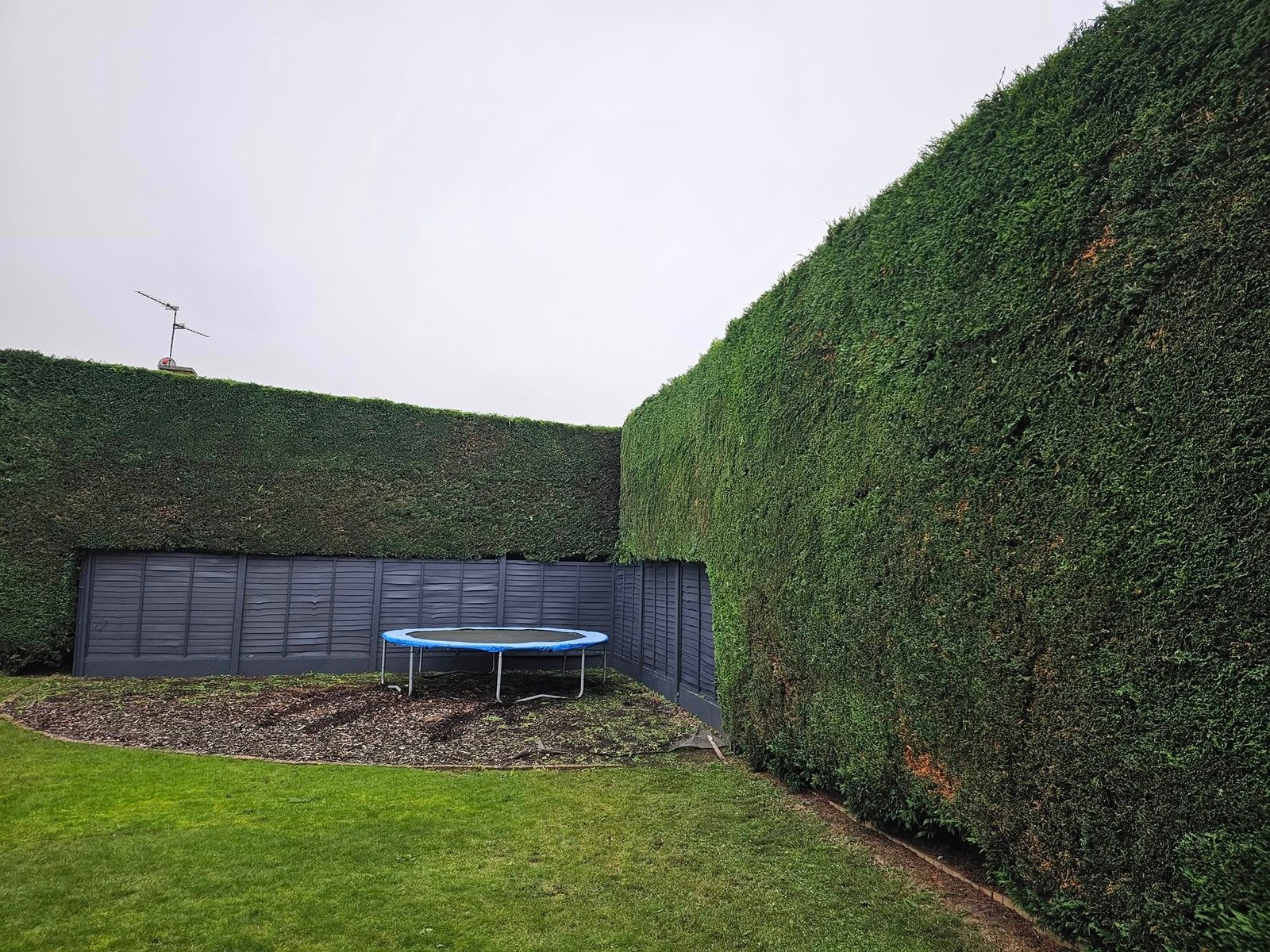 Completed garden maintenance project in Sleaford area