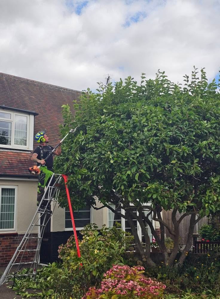 Garden maintenance by Gold Leaf Landscaping in Sleaford