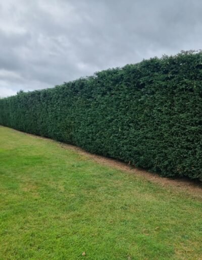 Hedge Cutting & Trimming Services in Lincoln, Lincolnshire
