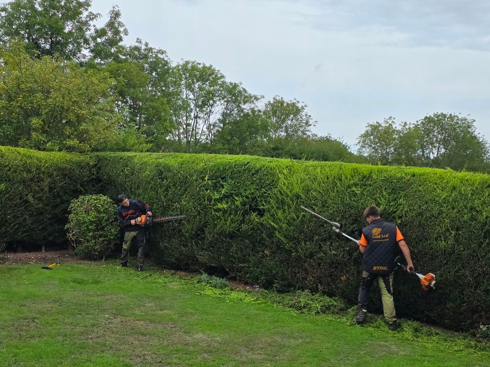Hedge cutting and garden maintenance in Sleaford