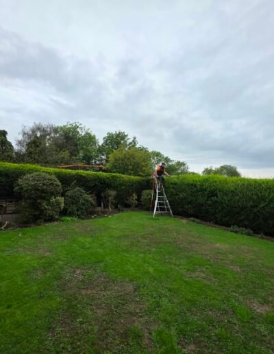 Hedge Cutting in Sleaford and Grantham, Lincolnshire