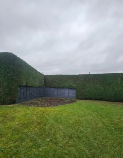 Hedge Cutting & Trimming Services in Lincoln, Lincolnshire