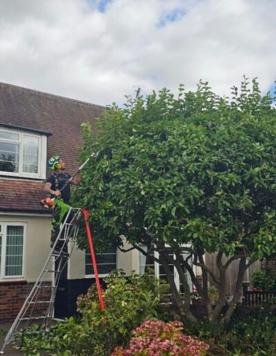 Landscaping & Gardening Gallery in Sleaford & Grantham, Lincs