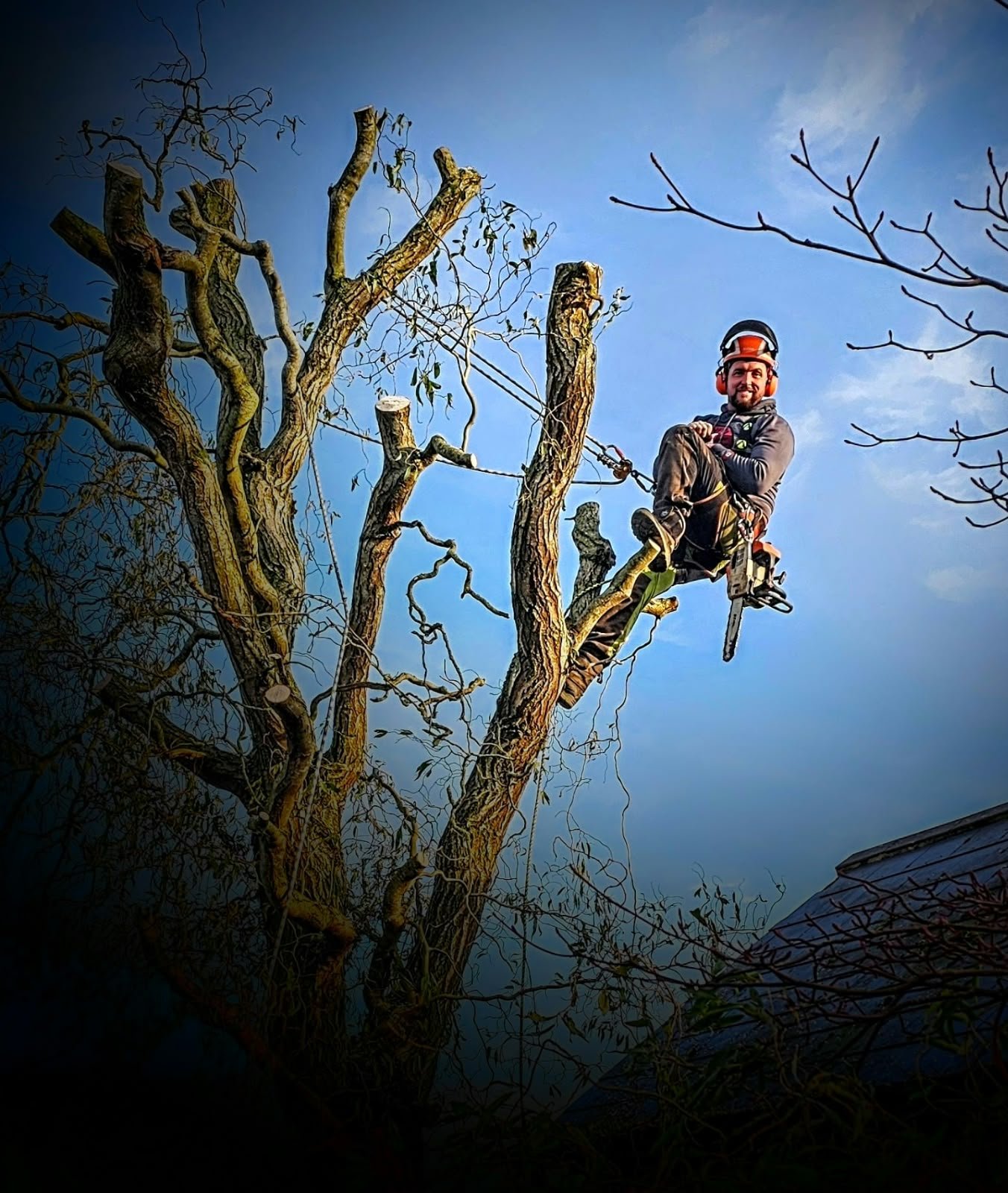 Professional tree surgery services in Sleaford and Lincolnshire