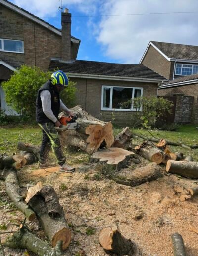 Professional Tree Surgeon & Tree Surgery Services in Grantham